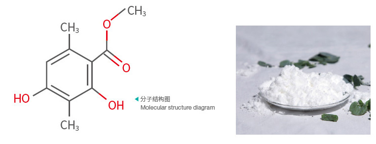 Methyl Atratate