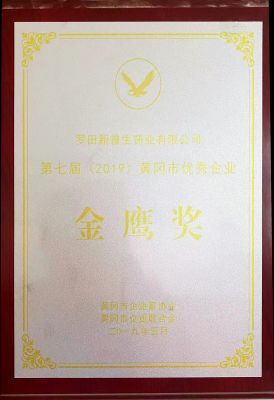 Certificate of Honor