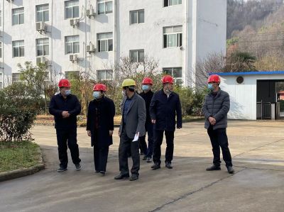 The party secretary of Luotian County visited our Luotian plant to investigate and guide our work!