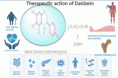 Daidzein from Dietary Supplement to a Drug Candidate: An Evaluation of Potential