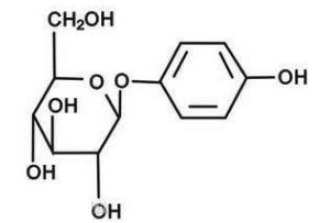 β-熊果苷